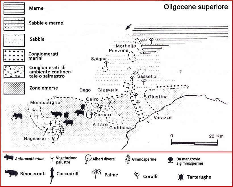 oligocene superiore